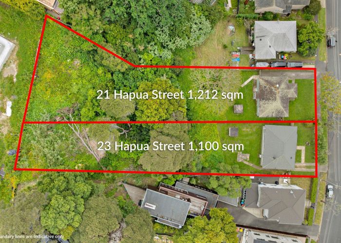  at 21 Hapua Street, Remuera, Auckland City, Auckland