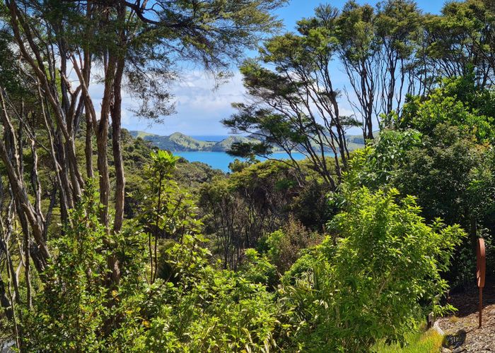  at 96 Kowhai Drive, Coromandel, Thames-Coromandel, Waikato