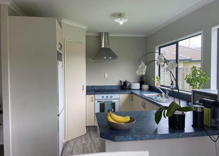  at 16 Aaron Place, Brookfield, Tauranga