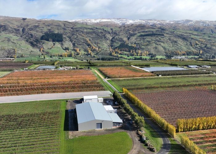 For sale 30 Mcelligott Road, Roxburgh, Central Otago, Otago homes.co.nz