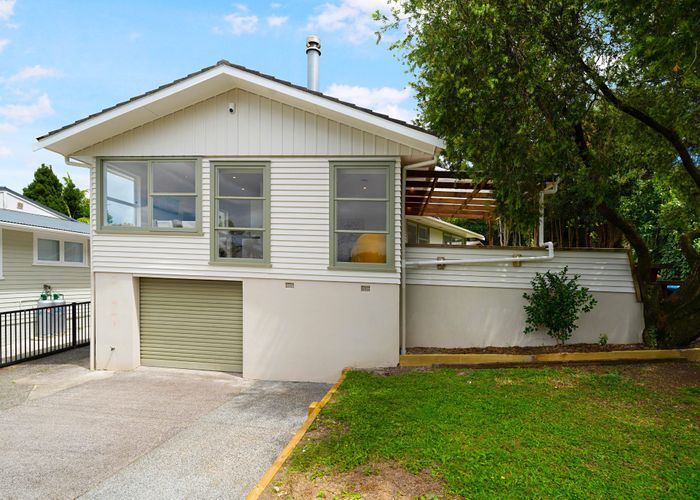  at 14 Pasteur Place, New Windsor, Auckland City, Auckland