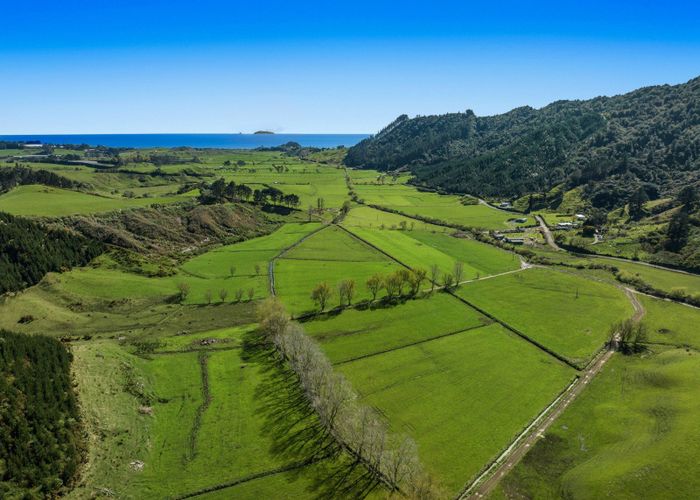  at 294 Tirohanga Road, Opotiki, Opotiki, Bay Of Plenty
