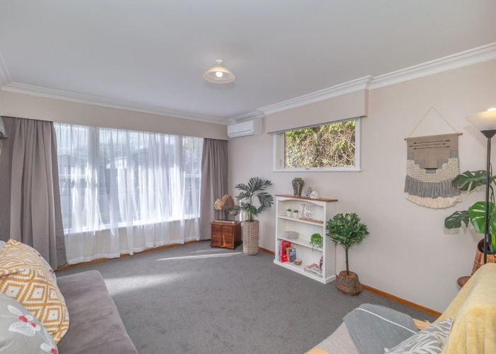 at 43 Trafalgar Street, Levin, Levin