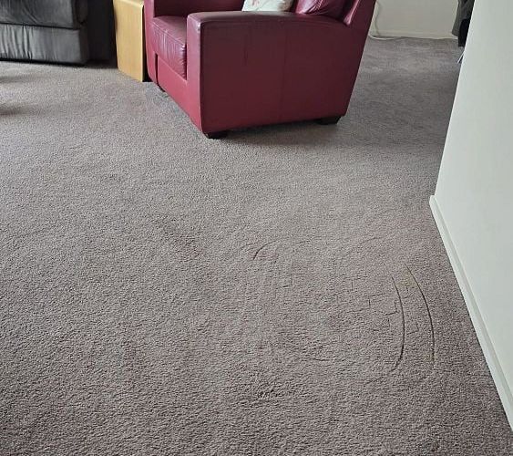  at 6 Kekerenga Street, Strathmore Park, Wellington, Wellington