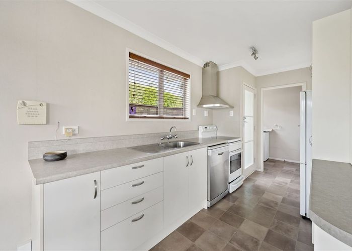  at 13 Edith Place, Dinsdale, Hamilton