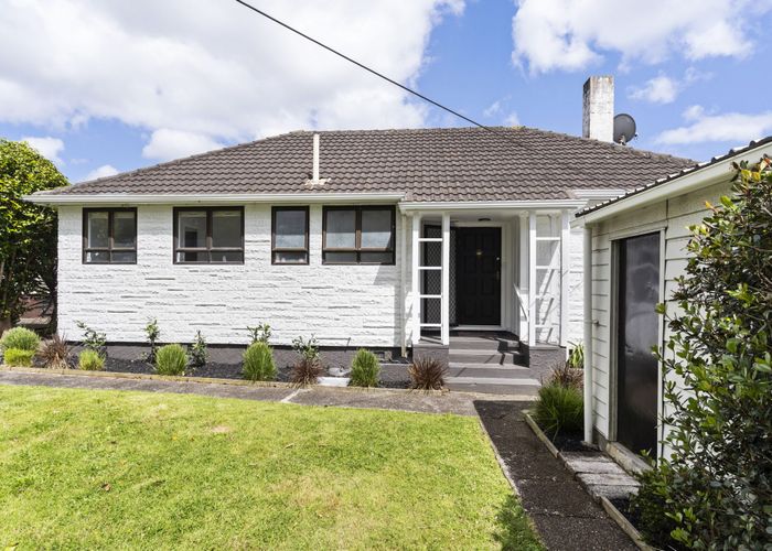  at 17 Waddell Avenue, Point England, Auckland