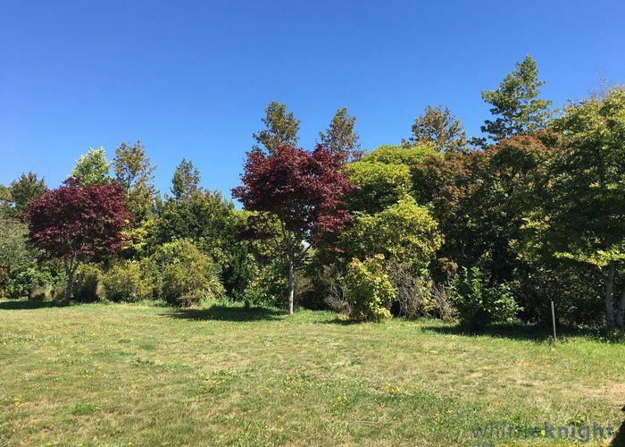  at 17 Styxspring Lane, Harewood, Christchurch City, Canterbury