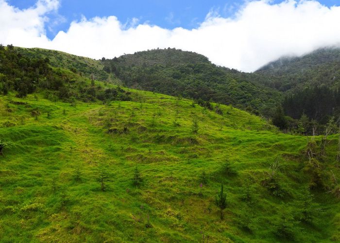  at 0 Warner Road, Takahue, Kaitaia
