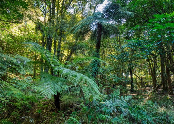  at 101 Ross Road, Tauranga