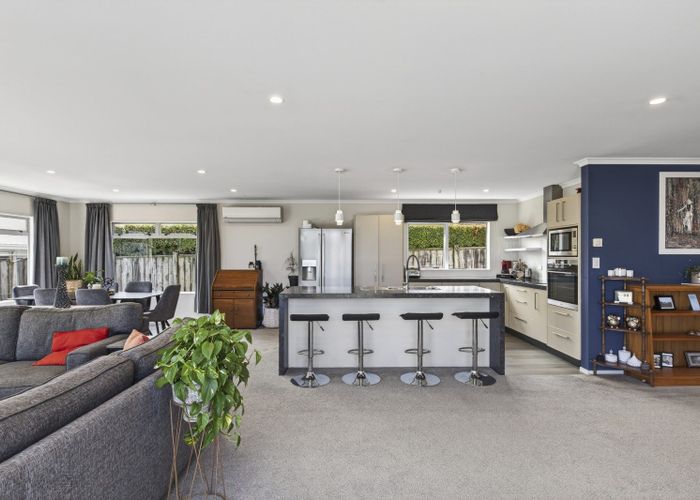  at 46 Dillon Drive, Bell Block, New Plymouth, Taranaki