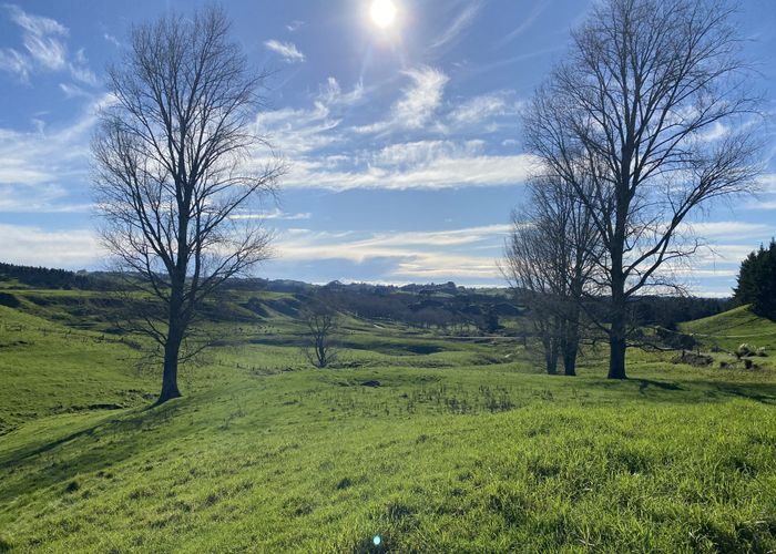  at 0 Poripori Rd, Wairoa, Tauranga