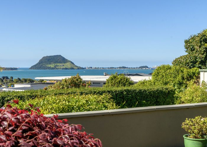  at 8B Hinewa Road, Otumoetai, Tauranga, Bay Of Plenty