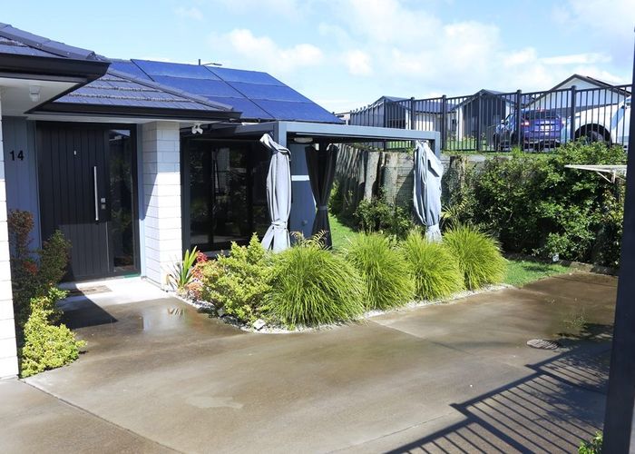  at Sam Heywood Place, Pyes Pa, Tauranga, Bay Of Plenty