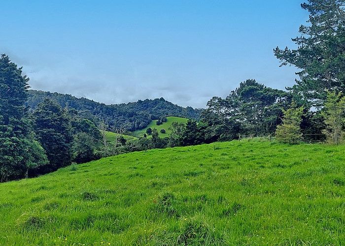  at 441 Tapuhi Road, Hikurangi
