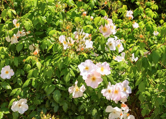  at 296 Omokoroa Road, Omokoroa, Western Bay Of Plenty, Bay Of Plenty