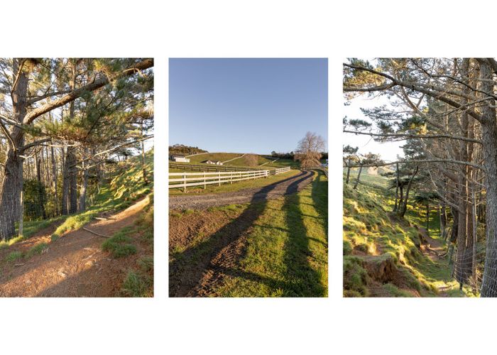  at 15D Junction Road (Lot 10), Te Puna, Western Bay Of Plenty, Bay Of Plenty