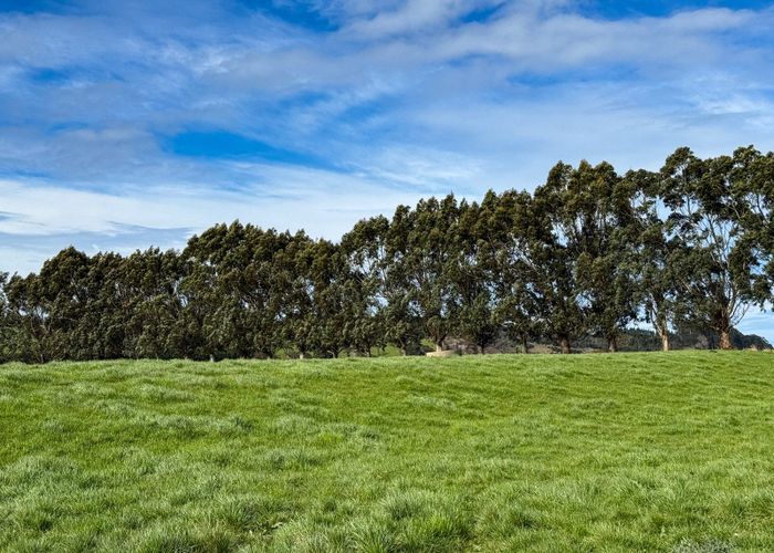  at 141 Mataura Island Titiroa Road, Mataura Island, Invercargill, Southland