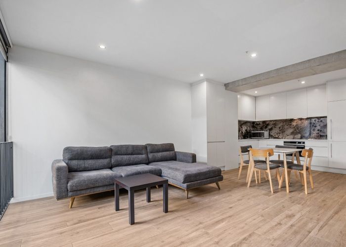  at 1/3 Vinegar Lane , Grey Lynn, Auckland City, Auckland