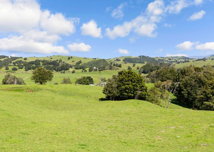  at 55 Kirikopuni Stn Road, Dargaville, Kaipara, Northland