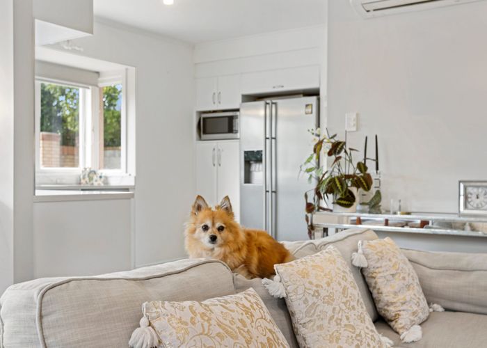  at 42 Roseberry Avenue, Birkenhead, Auckland