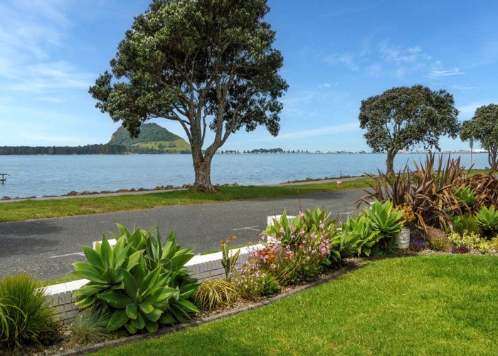  at 269 Beach Road, Matua, Tauranga