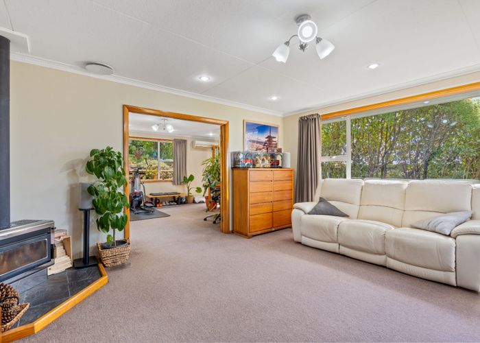  at 10 Larkins Street, Helensburgh, Dunedin