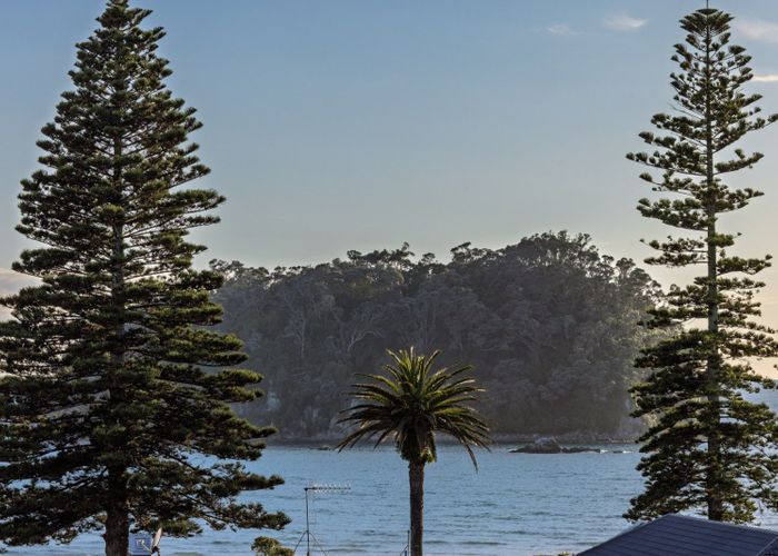  at 18C Rita Street, Mount Maunganui, Tauranga, Bay Of Plenty