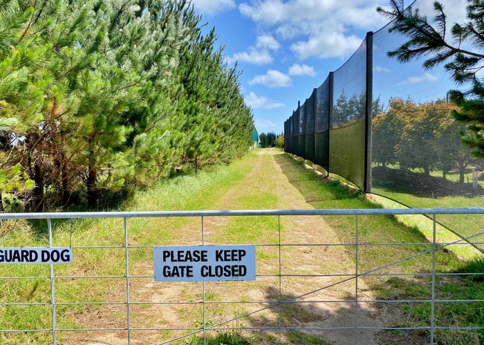  at Lot 1 Elingamite Drive, Pukenui, Far North, Northland