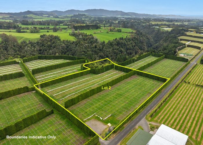  at 1010 Te Matai Road, Te Puke, Western Bay Of Plenty, Bay Of Plenty