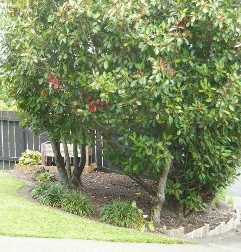  at 39A Killarney Avenue, Torbay, North Shore City, Auckland