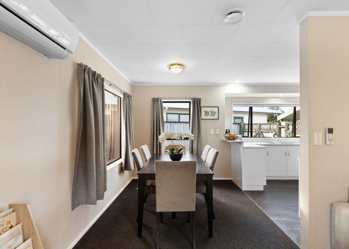  at 17 Mercury Street, Milson, Palmerston North