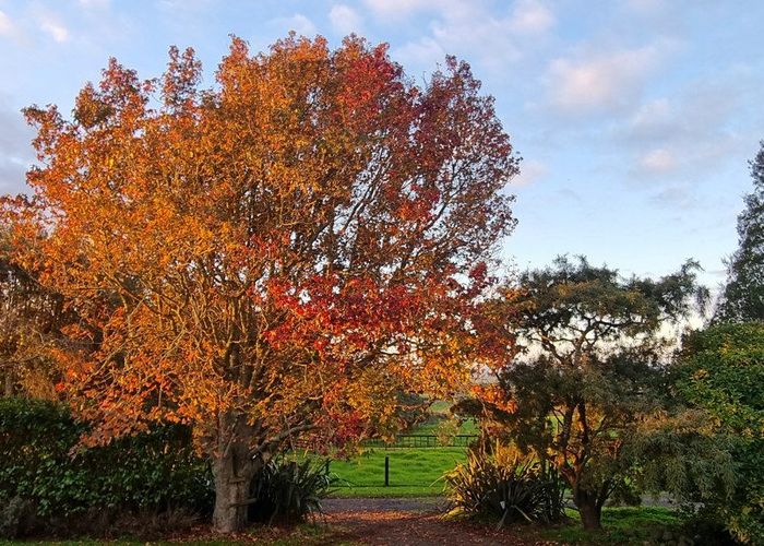  at 87 Lee Road, Tuakau