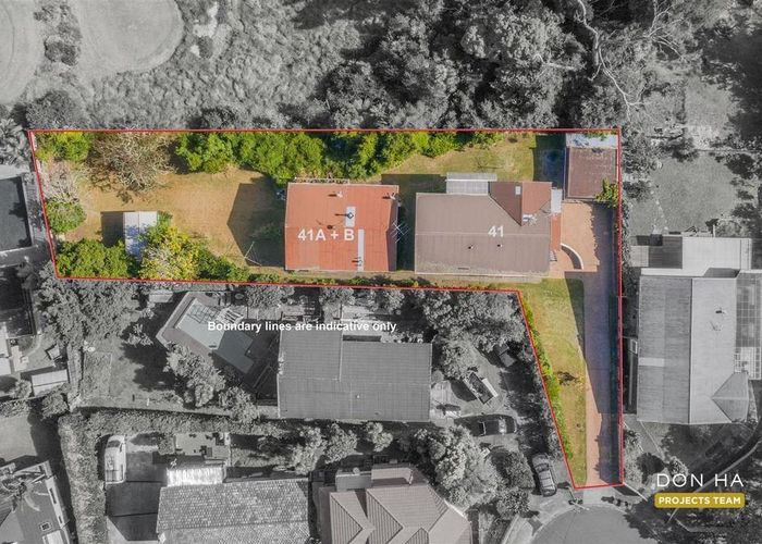  at 41 & 41A Budgen Street, Mount Roskill, Auckland City, Auckland
