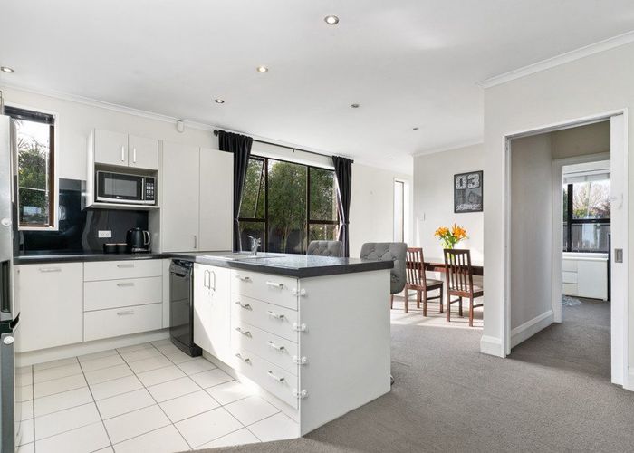  at 17 Goldsmith Place, Waltham, Christchurch City, Canterbury