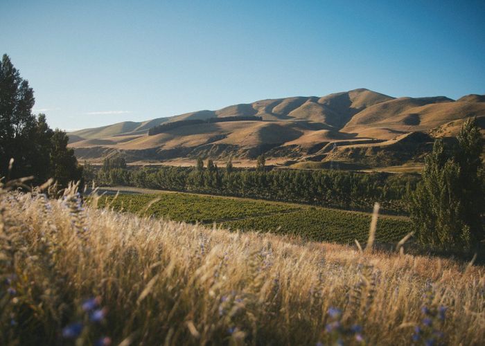  at 376 Ram Paddock Road, Waipara, Hurunui, Canterbury