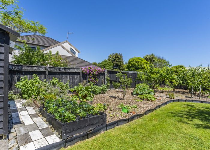  at 10 Winara Avenue, Waikanae