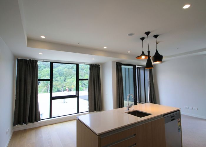  at 321/43 Edwin Street, Mount Eden, Auckland