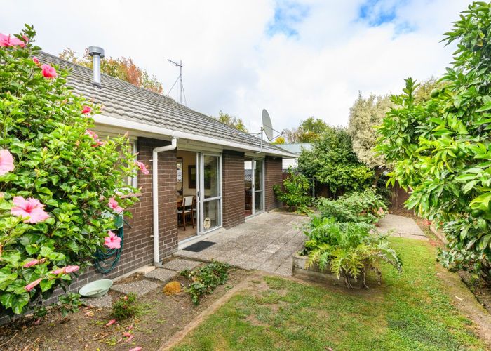  at 459 College Street, Hokowhitu, Palmerston North