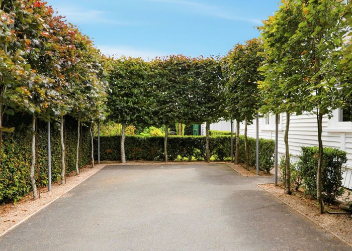  at 38 Stephens Place, Hairini, Tauranga, Bay Of Plenty