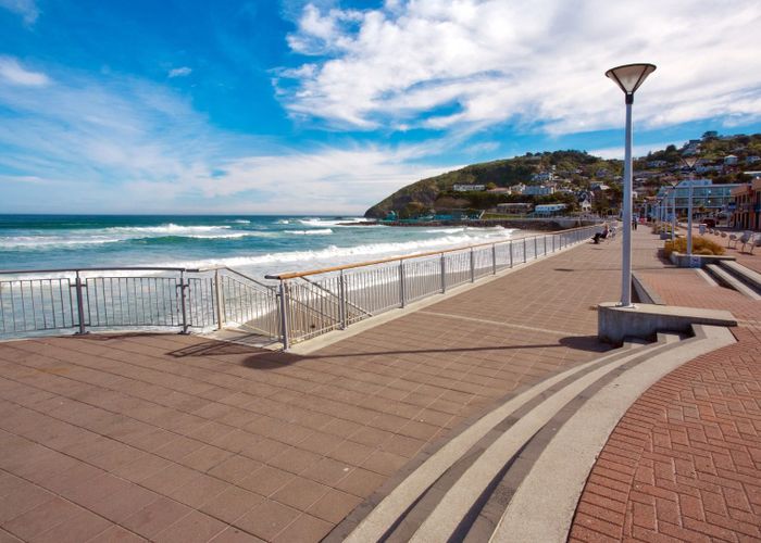 at 231 Forbury Road, Saint Clair, Dunedin