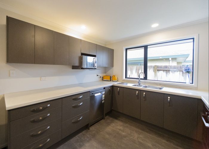  at 67 Balrickard Way, Milson, Palmerston North