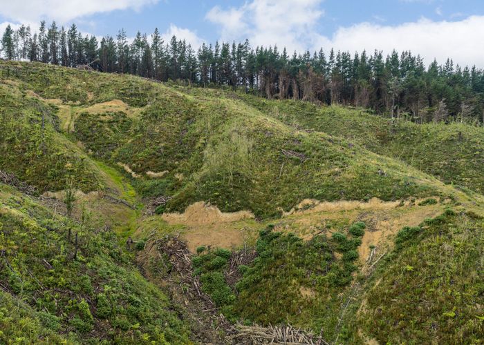  at Lot 17/355 Pretoria Road, Shannon, Horowhenua, Manawatu / Whanganui