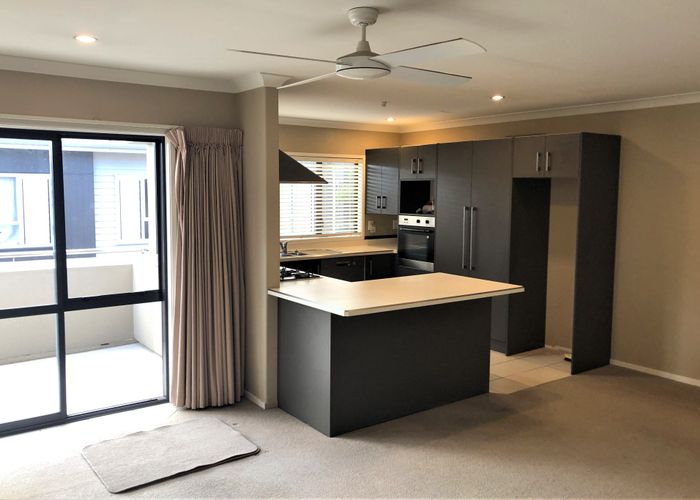  at 12D Edgecumbe Street, Whitiora, Hamilton