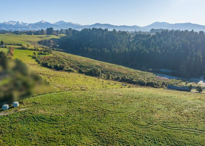  at 85 Pekapeka Lane, Geraldine, Timaru, Canterbury