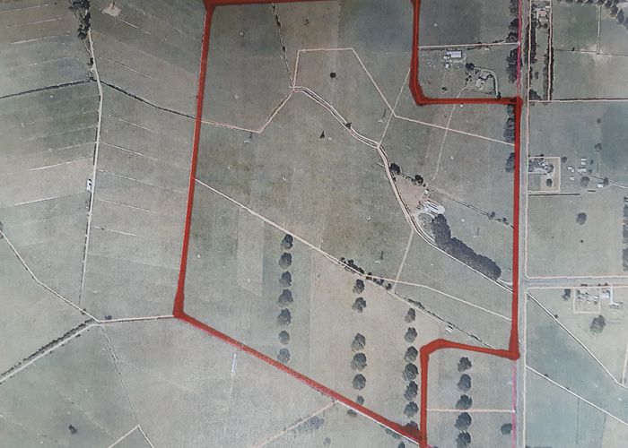  at 372 Victoria Road, Pukemoremore