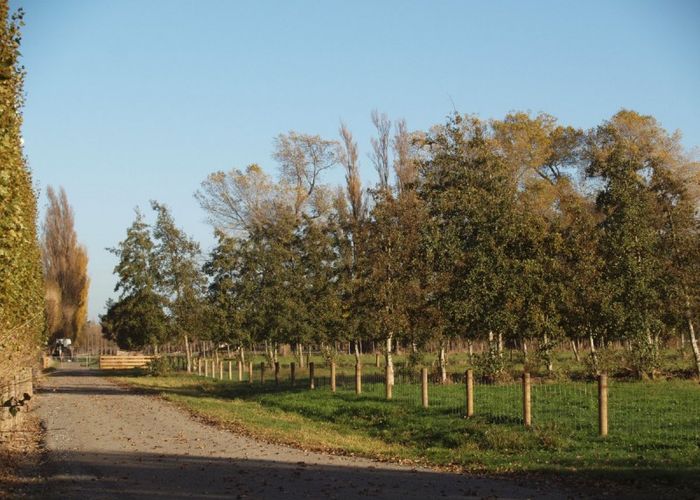  at 84A Voss Road, Christchurch