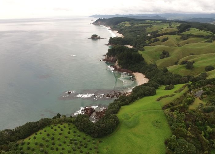 at 339 Onemana Drive, Onemana, Whangamatā