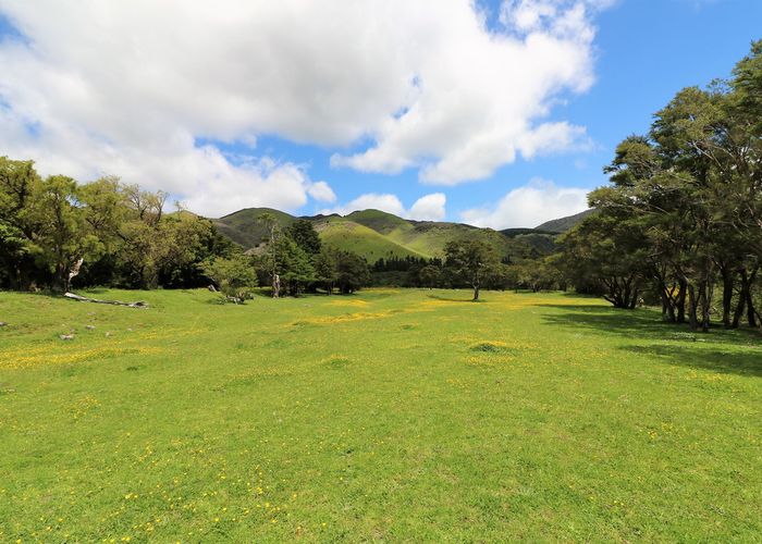  at 174 Blakes Road, Mount Holdsworth, Carterton