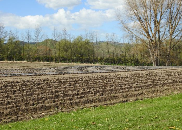  at 1468 Matawai Road, Ormond, Gisborne