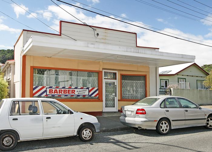  at 313 Mansfield Street, Newtown, Wellington